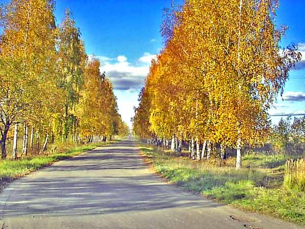 Осень золотая