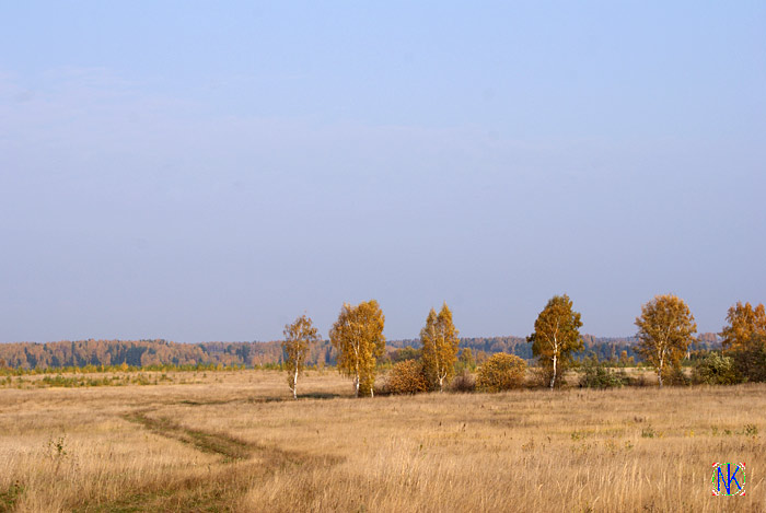 Золотая пора