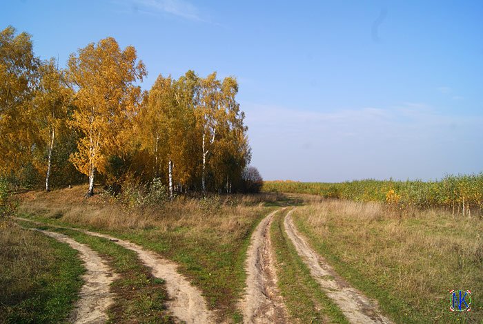 На перепутьи