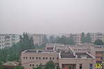 Лето - 2010