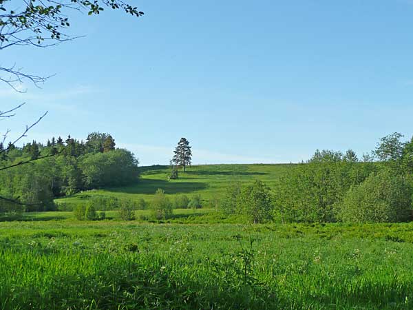 Левинский дол