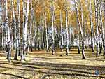 Солнечно