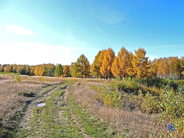 В сторону Белой горы