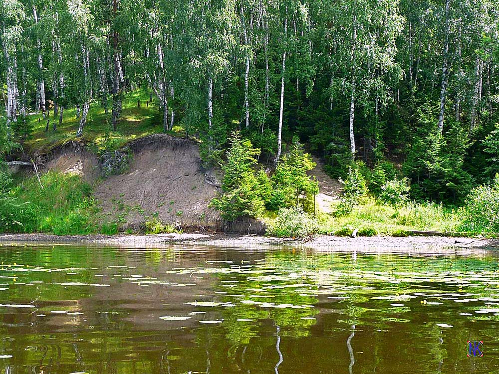 Волжский берег