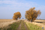 И только вперед.