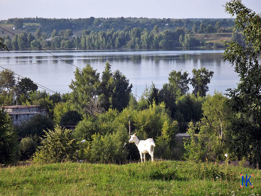 Тоже любуется