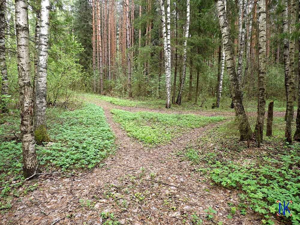 На перекрестке